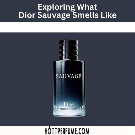 notes dior sauvage|dior sauvage smell like.